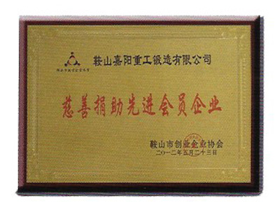 慈善捐助先進會員企業(yè)